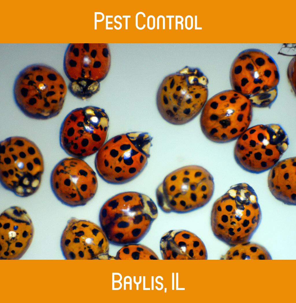 pest control in Baylis Illinois