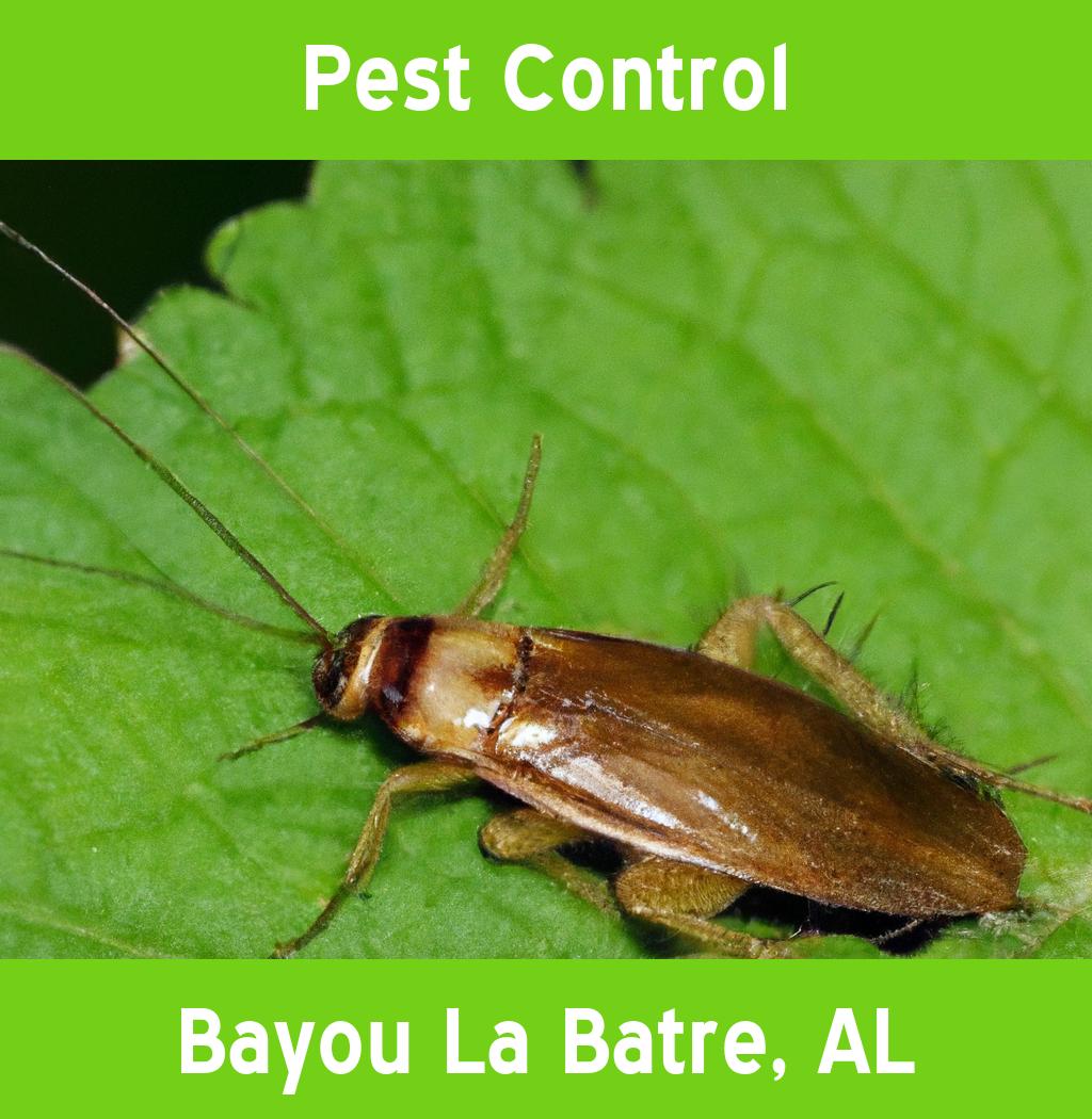 pest control in Bayou La Batre Alabama