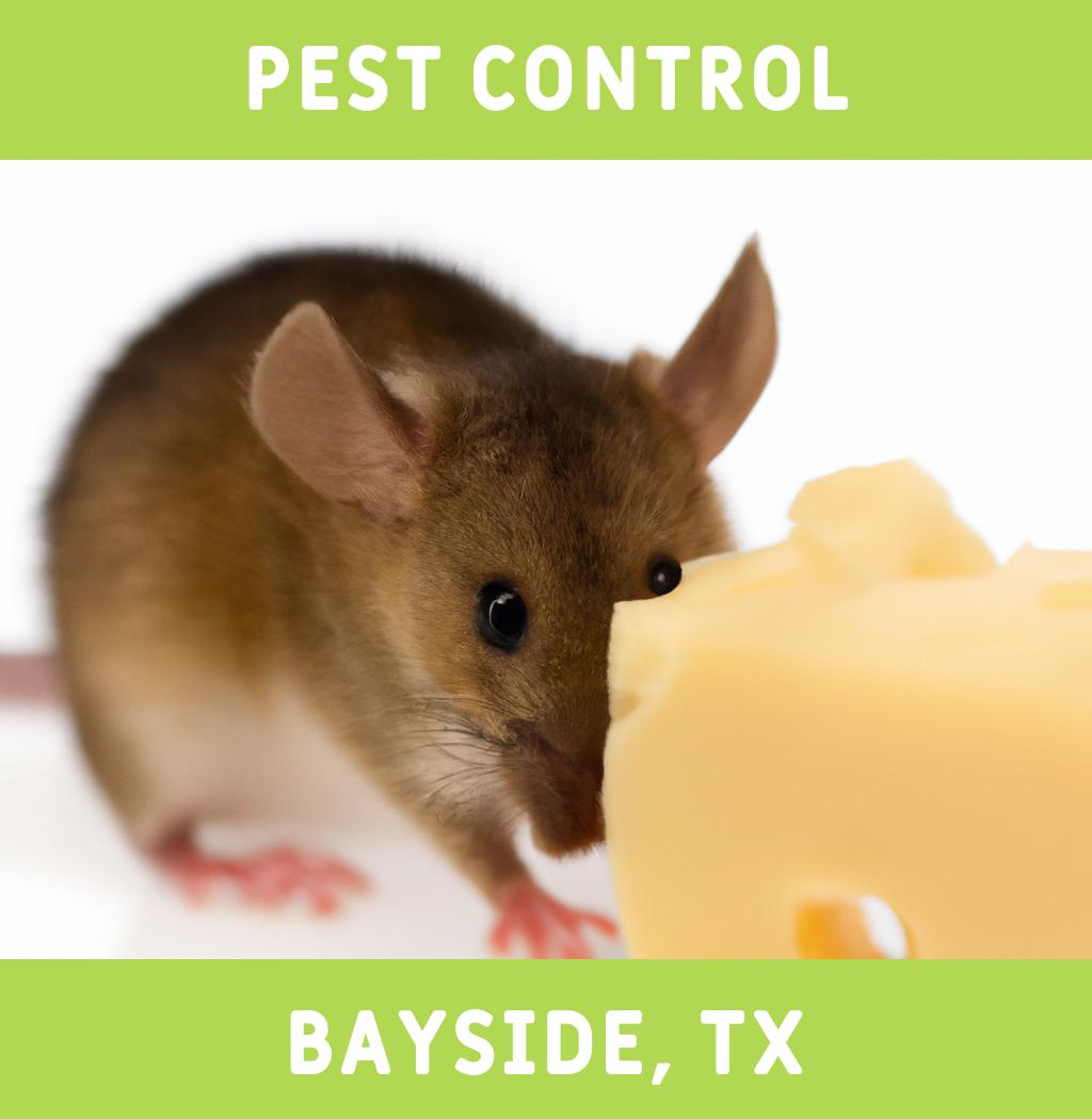 pest control in Bayside Texas