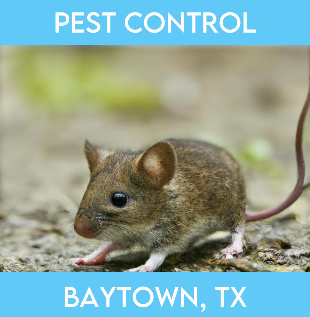 pest control in Baytown Texas