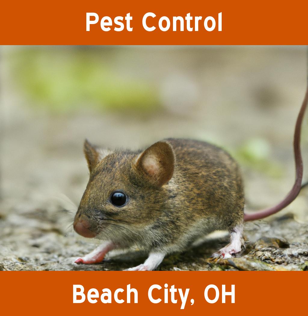 pest control in Beach City Ohio