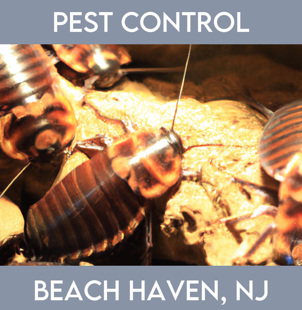 pest control in Beach Haven New Jersey