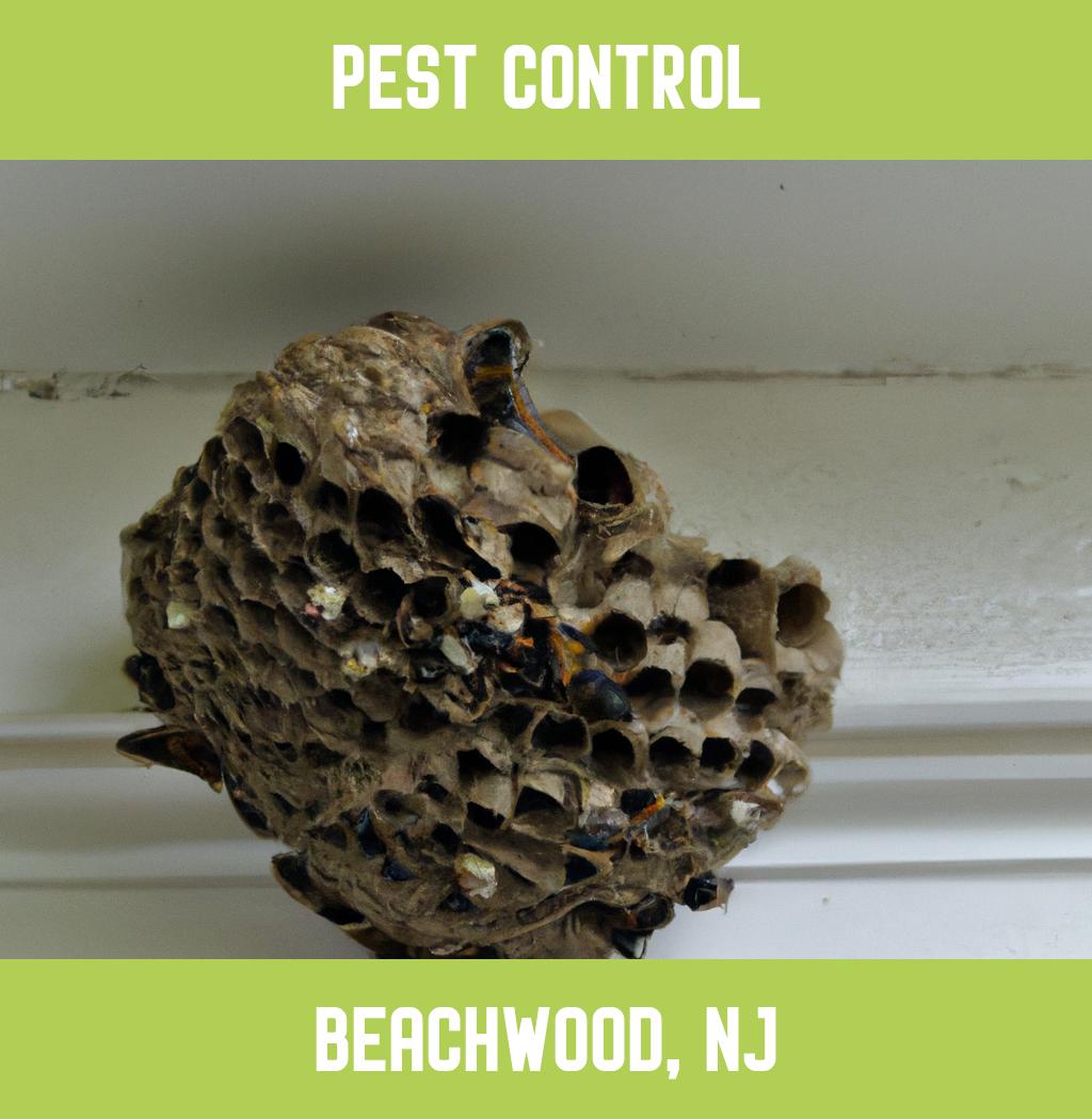 pest control in Beachwood New Jersey