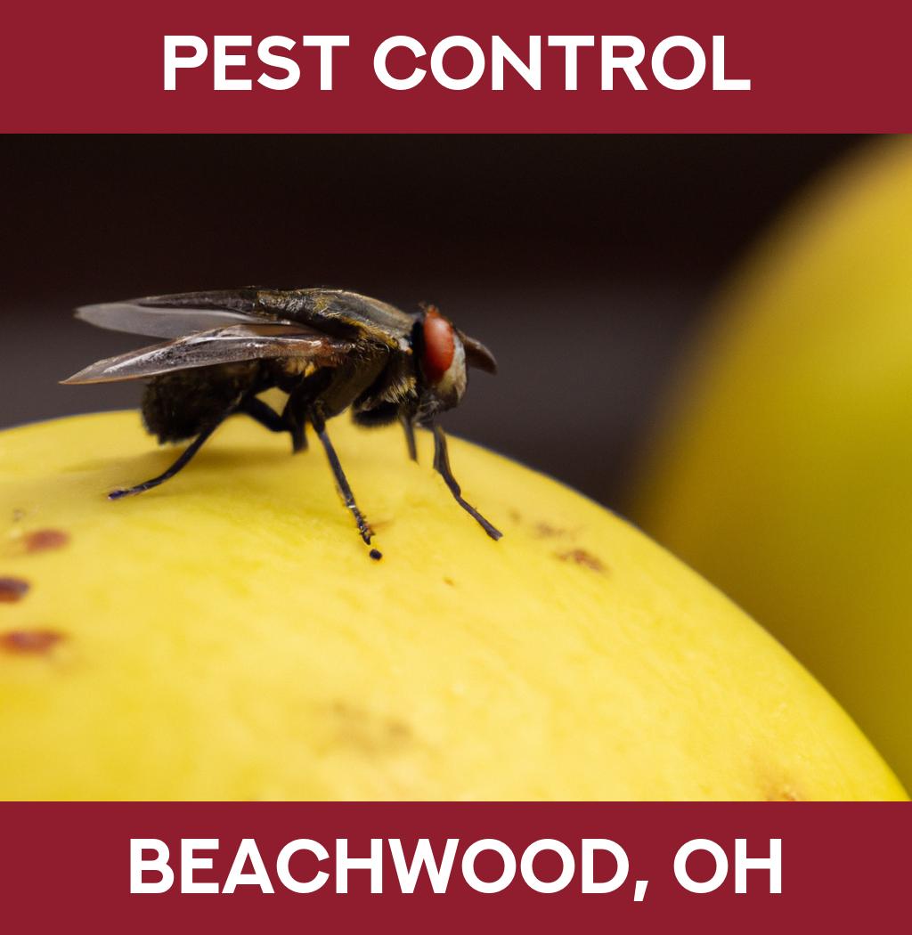 pest control in Beachwood Ohio