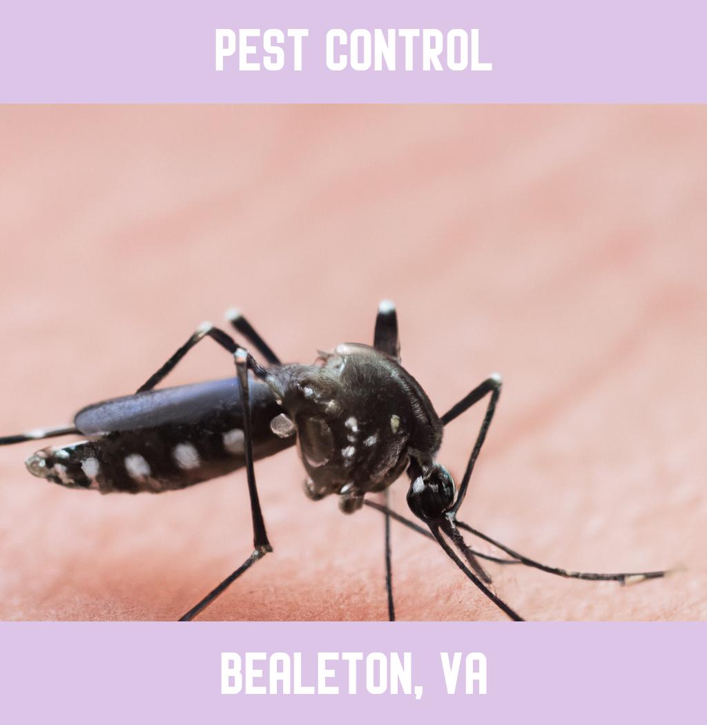 pest control in Bealeton Virginia