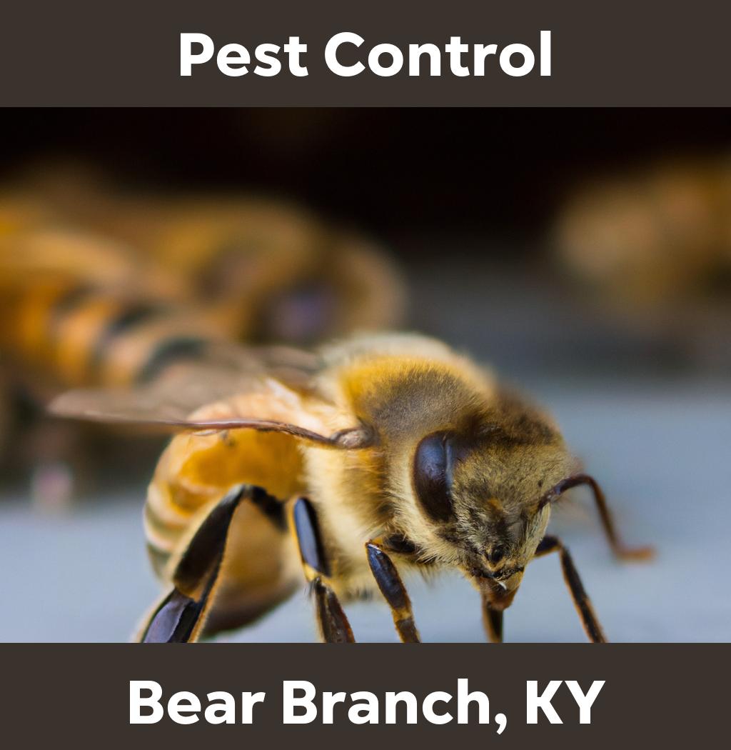 pest control in Bear Branch Kentucky