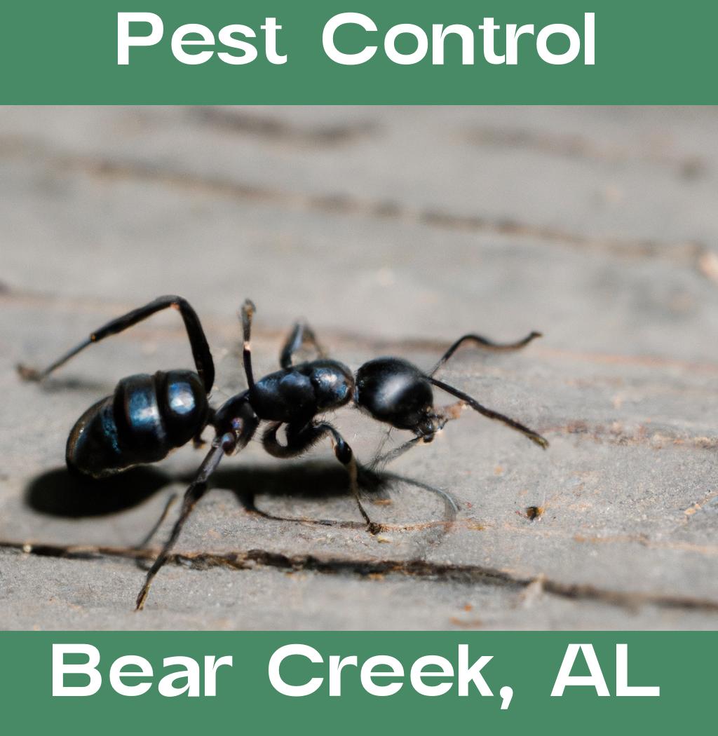 pest control in Bear Creek Alabama