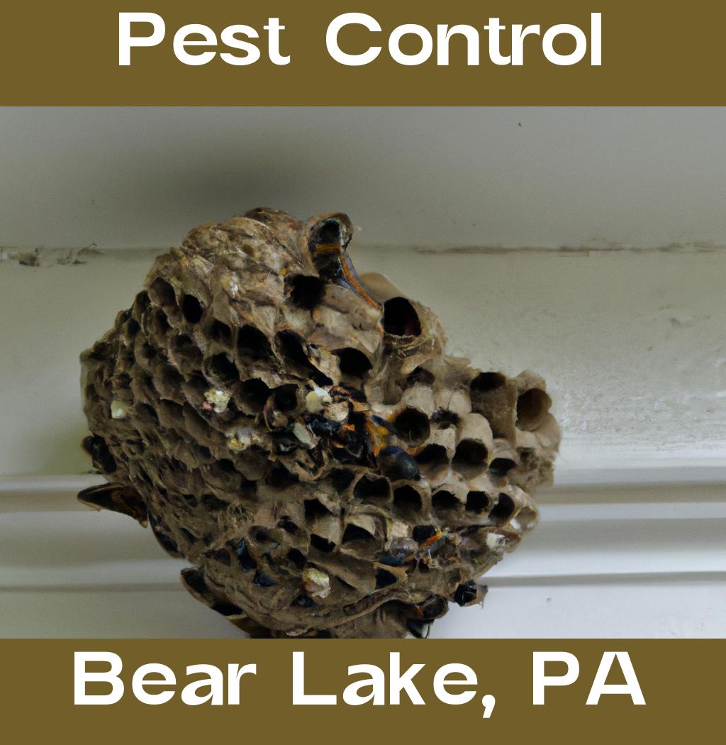pest control in Bear Lake Pennsylvania