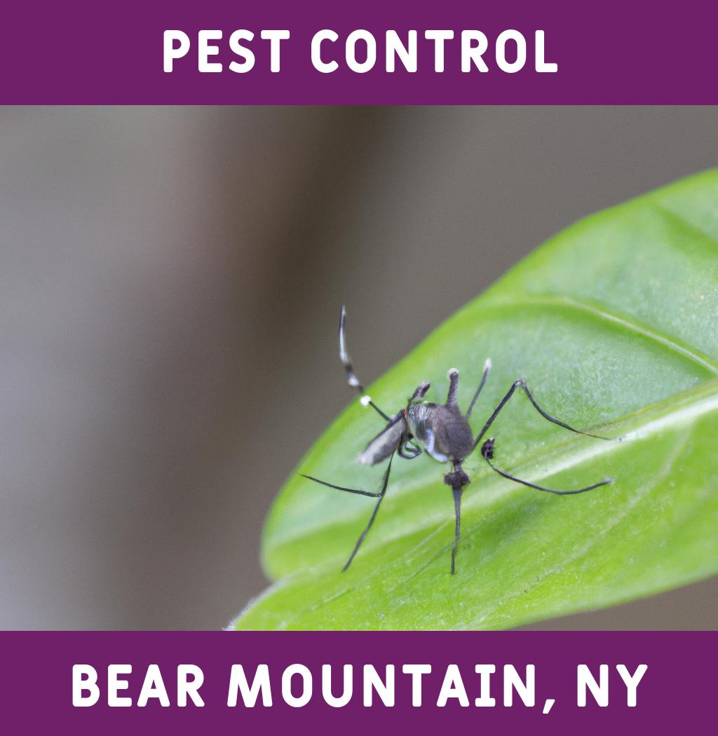 pest control in Bear Mountain New York