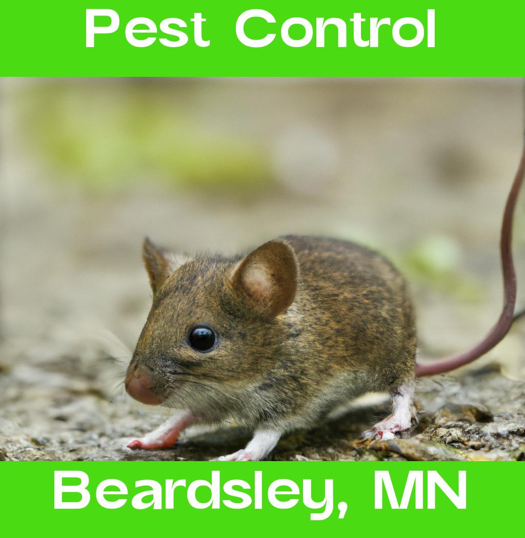 pest control in Beardsley Minnesota