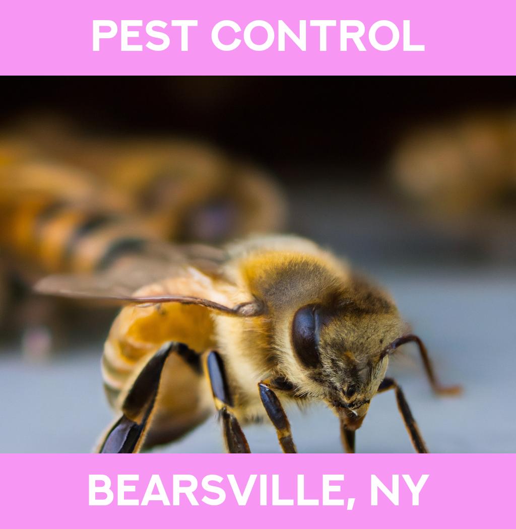pest control in Bearsville New York