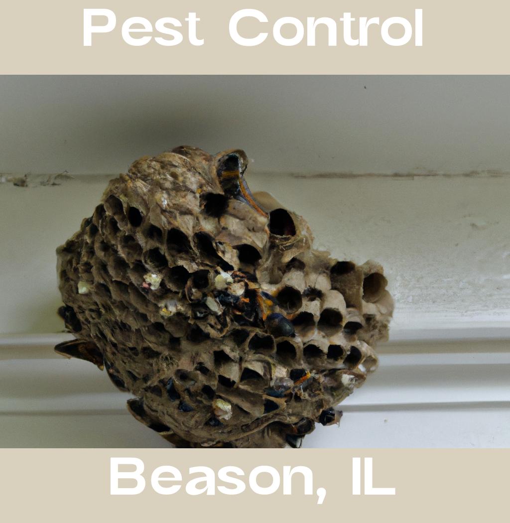 pest control in Beason Illinois