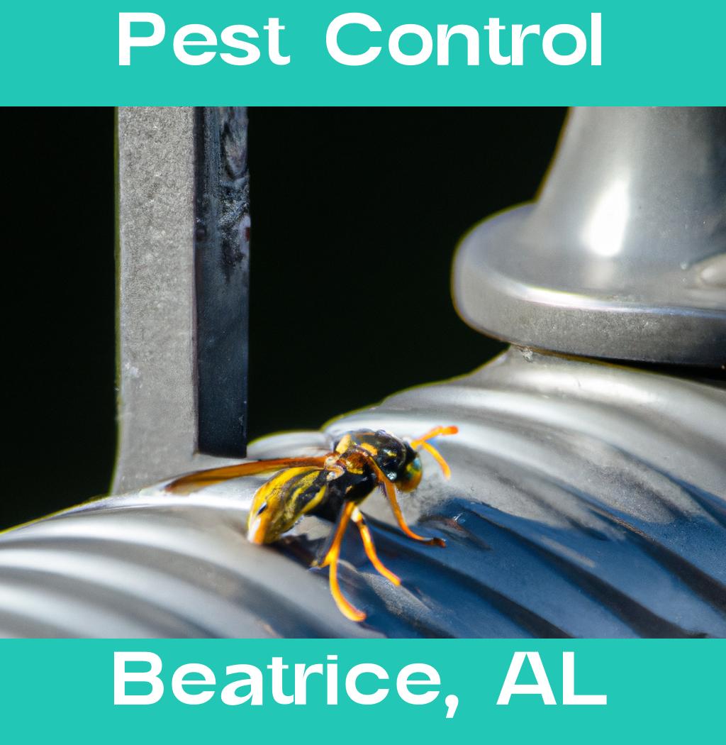 pest control in Beatrice Alabama