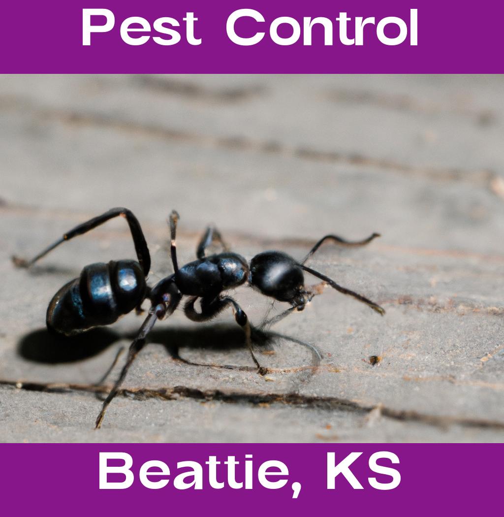 pest control in Beattie Kansas