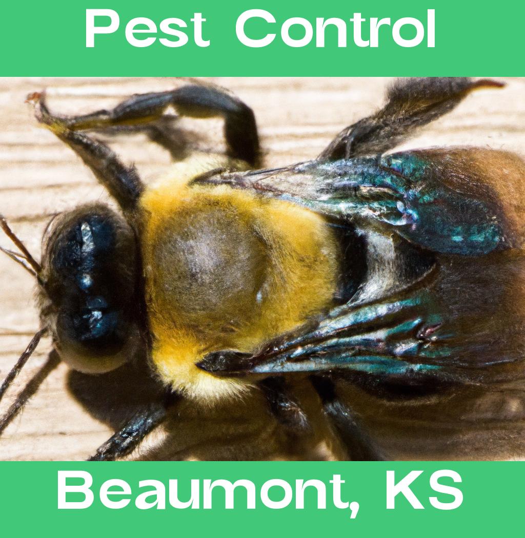 pest control in Beaumont Kansas