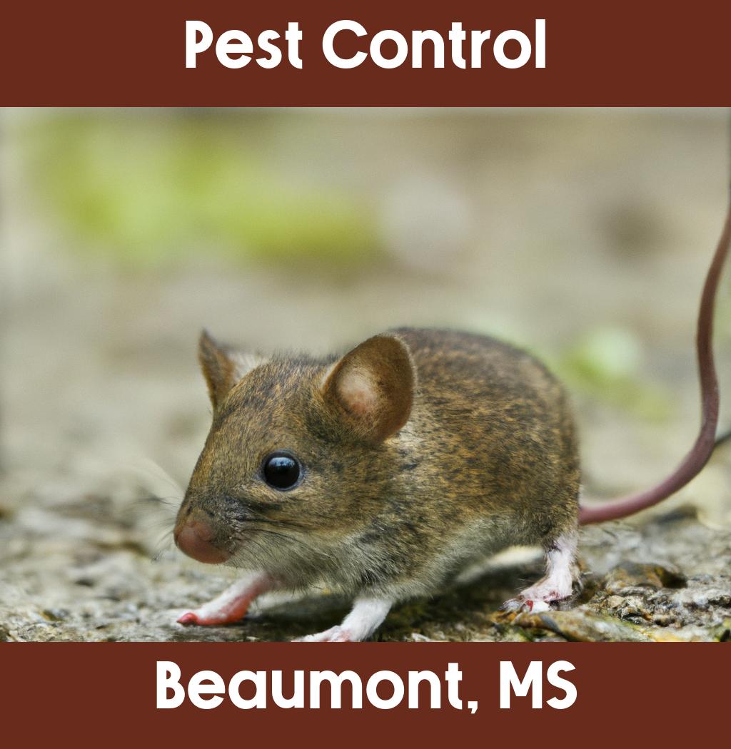 pest control in Beaumont Mississippi