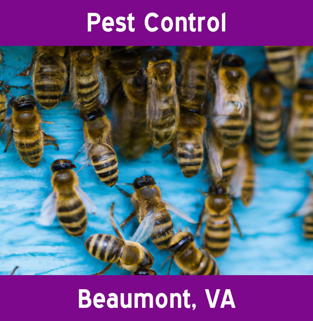 pest control in Beaumont Virginia