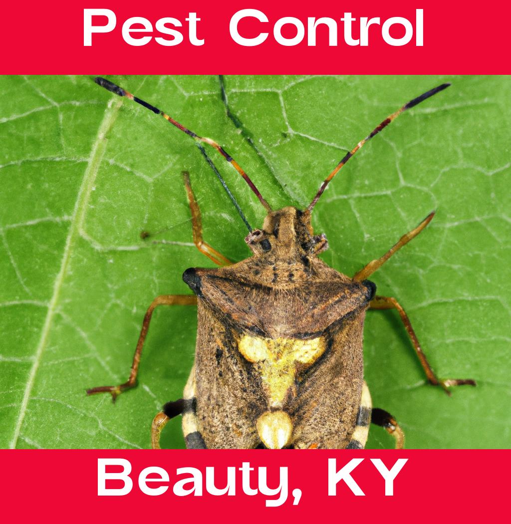 pest control in Beauty Kentucky