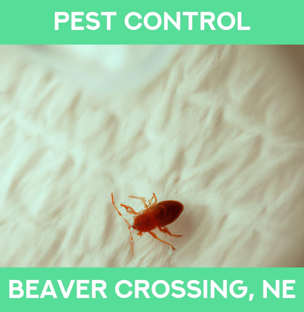 pest control in Beaver Crossing Nebraska