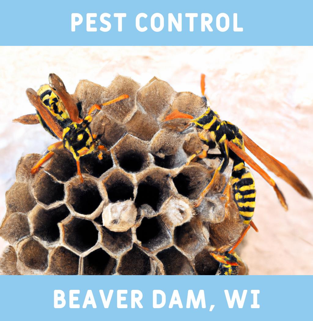pest control in Beaver Dam Wisconsin