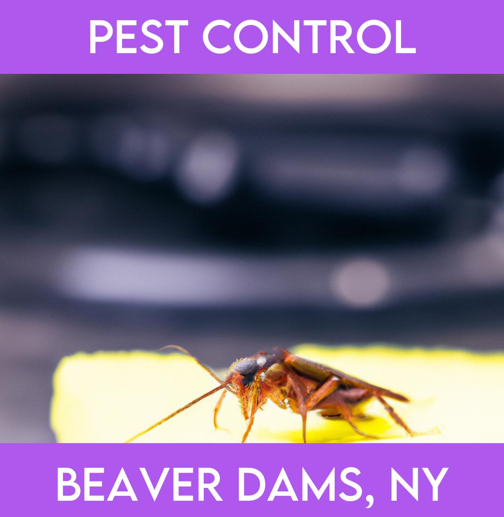 pest control in Beaver Dams New York