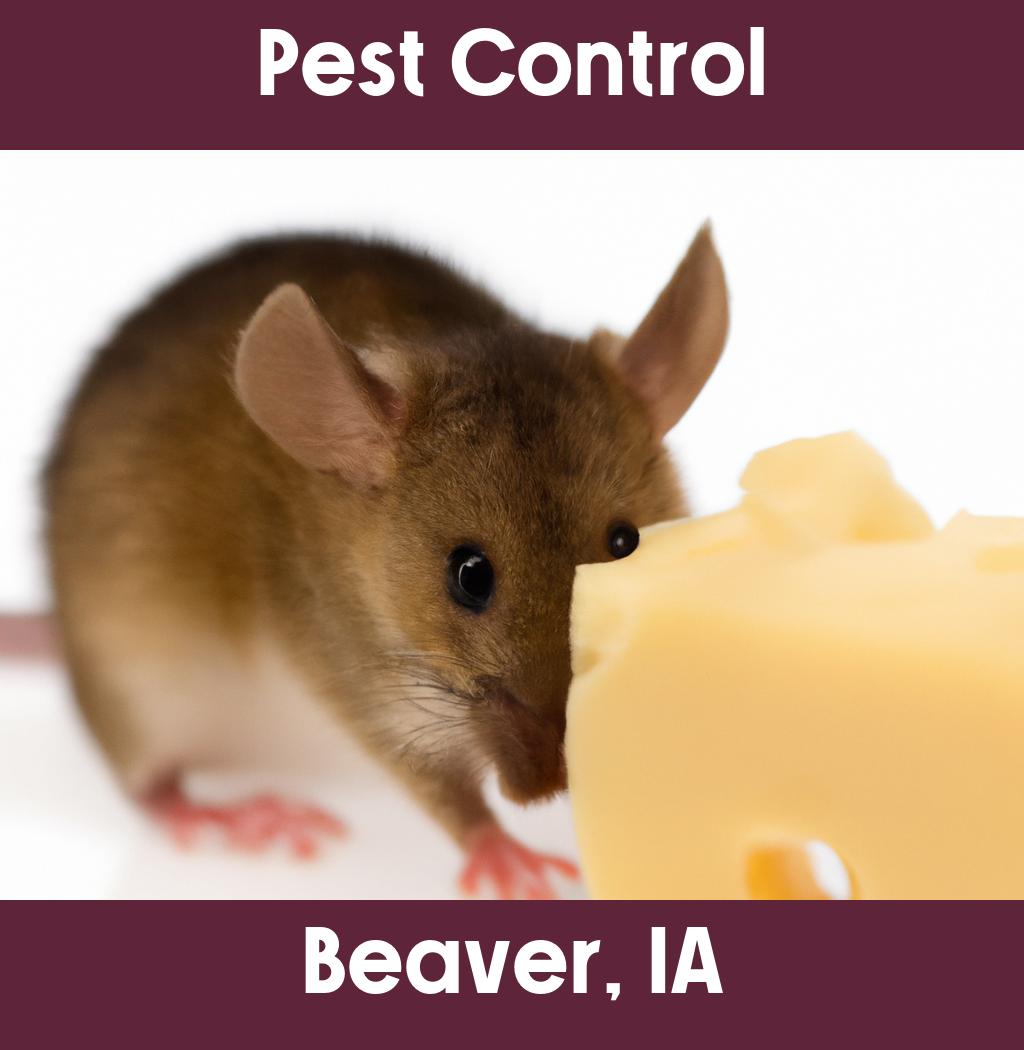 pest control in Beaver Iowa