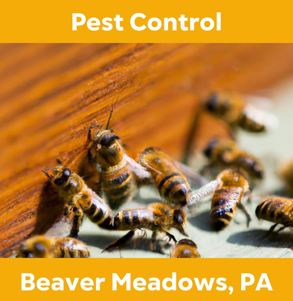 pest control in Beaver Meadows Pennsylvania