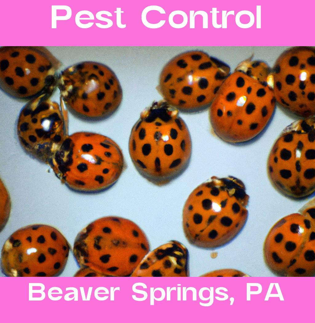 pest control in Beaver Springs Pennsylvania