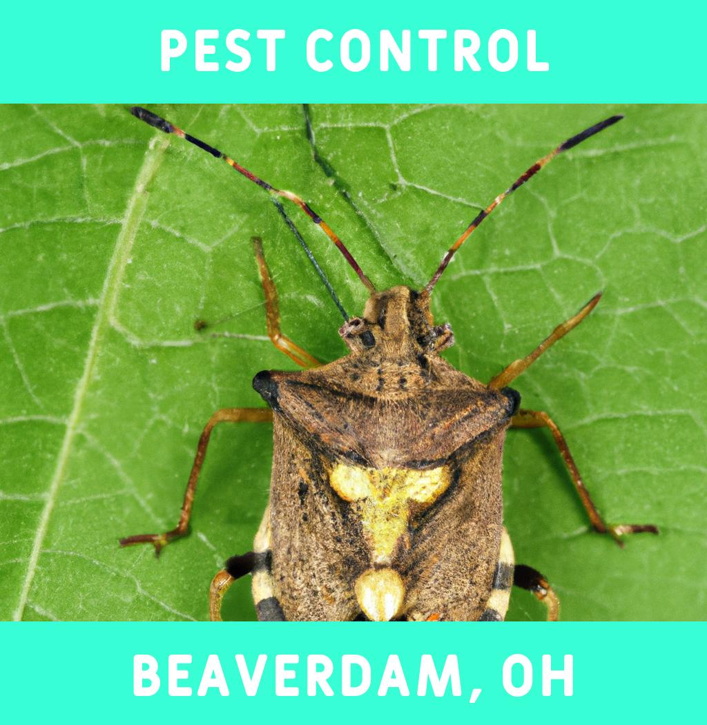 pest control in Beaverdam Ohio