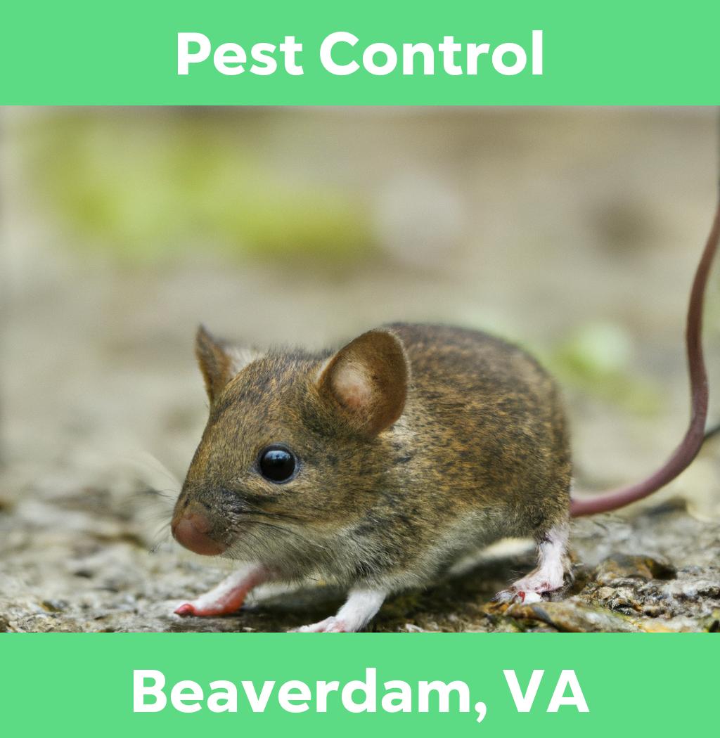 pest control in Beaverdam Virginia