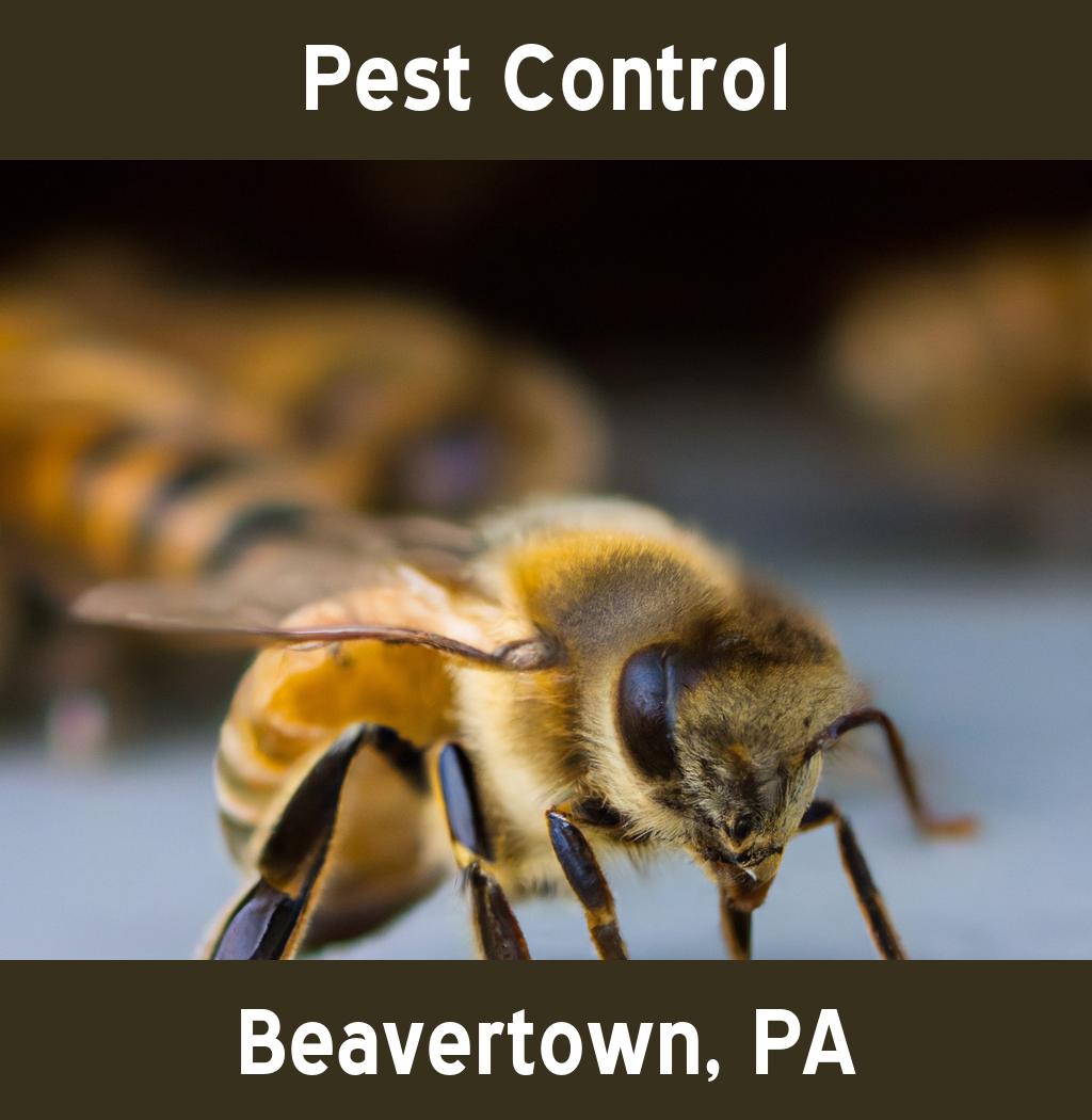 pest control in Beavertown Pennsylvania