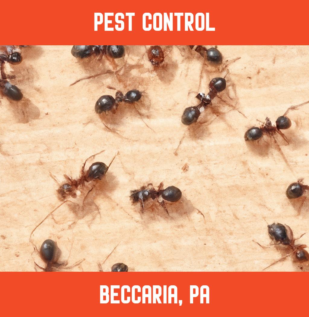 pest control in Beccaria Pennsylvania