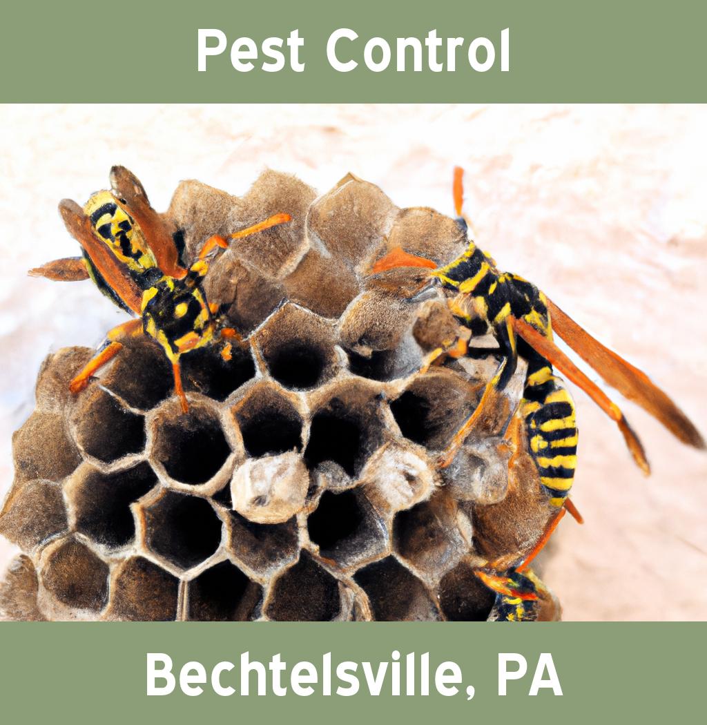 pest control in Bechtelsville Pennsylvania