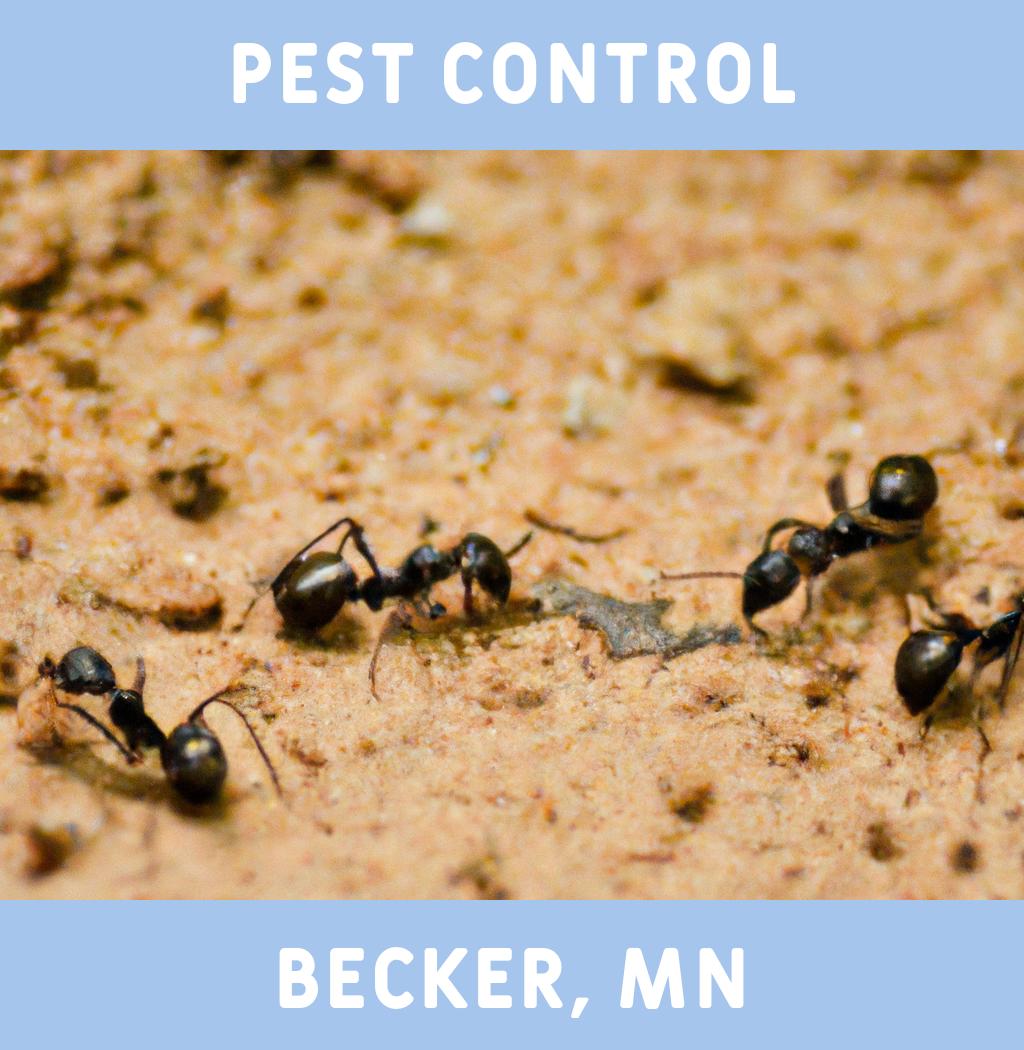 pest control in Becker Minnesota