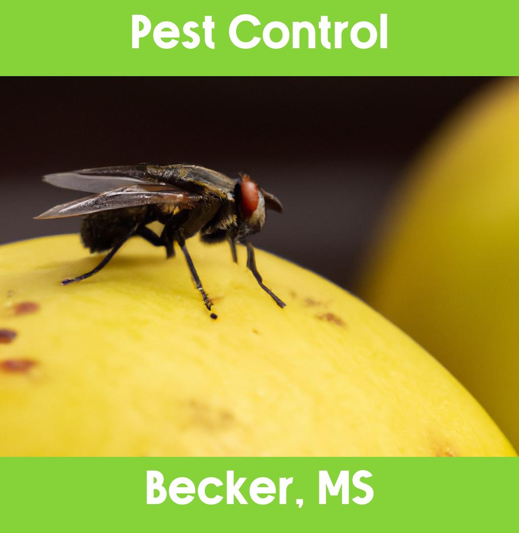 pest control in Becker Mississippi