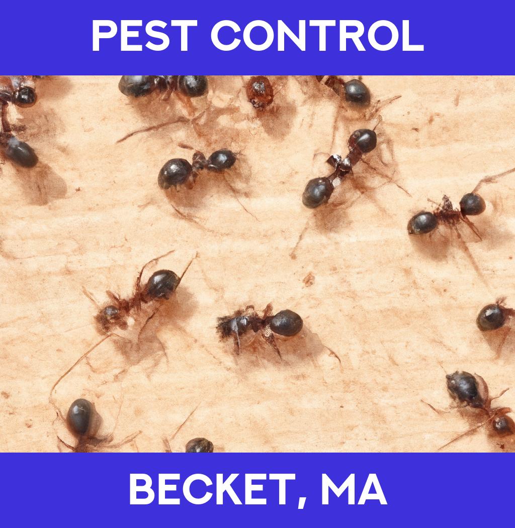 pest control in Becket Massachusetts