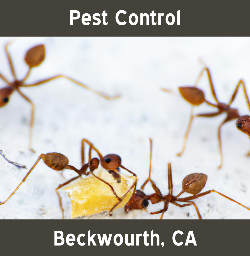 pest control in Beckwourth California