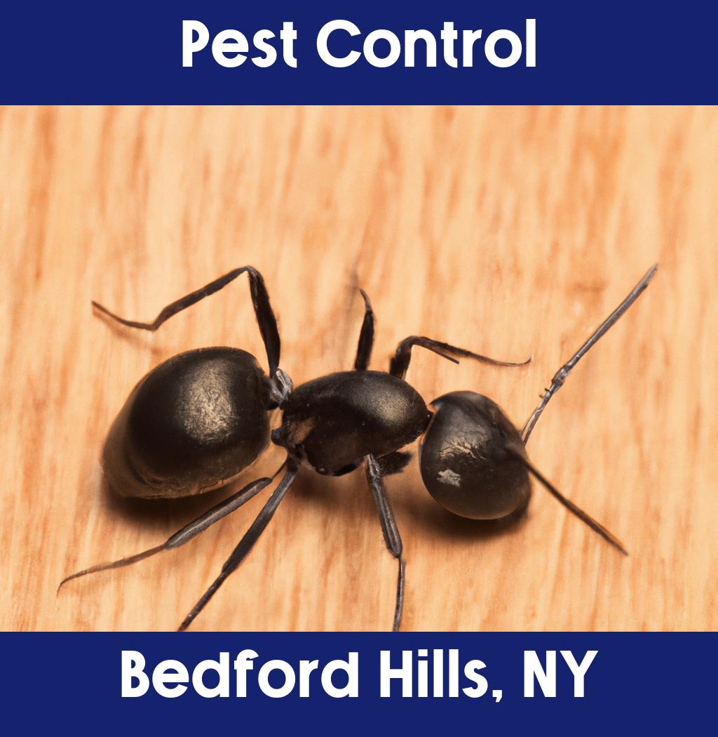 pest control in Bedford Hills New York