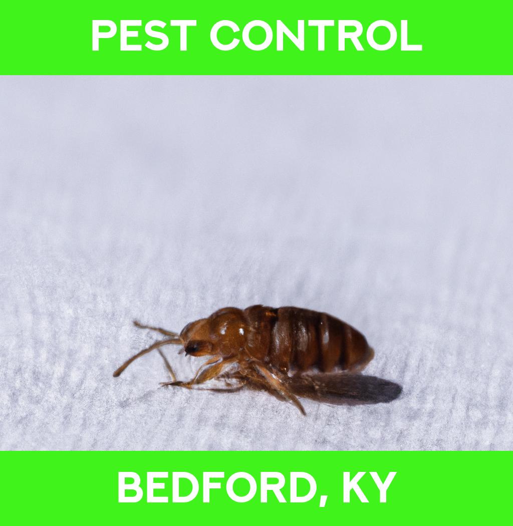 pest control in Bedford Kentucky