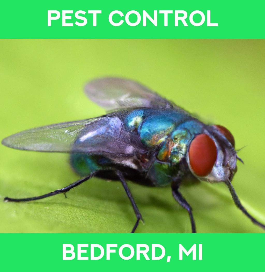 pest control in Bedford Michigan