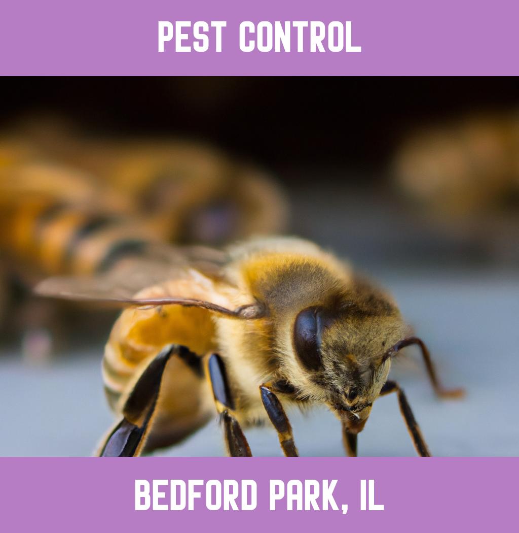 pest control in Bedford Park Illinois