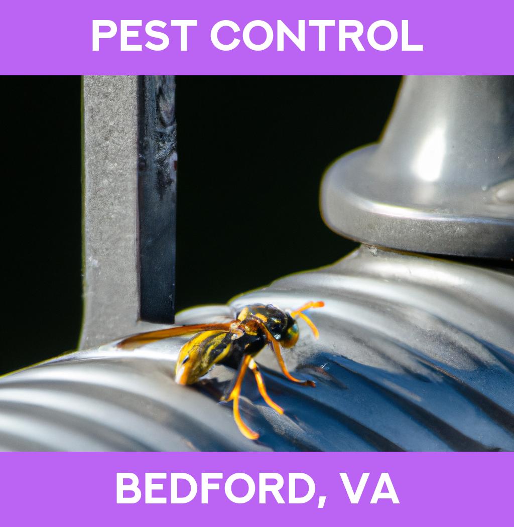 pest control in Bedford Virginia