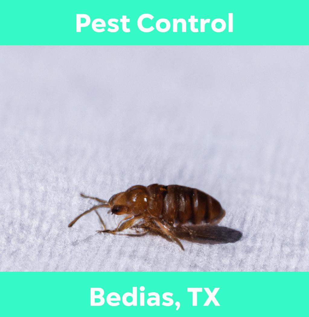 pest control in Bedias Texas