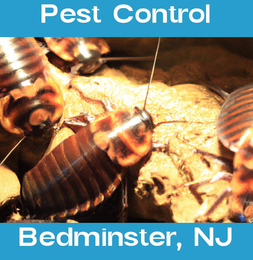 pest control in Bedminster New Jersey