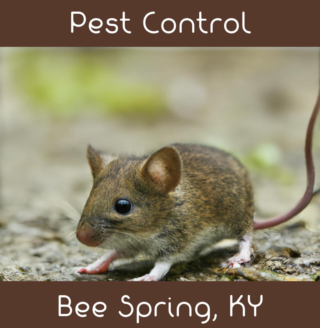 pest control in Bee Spring Kentucky