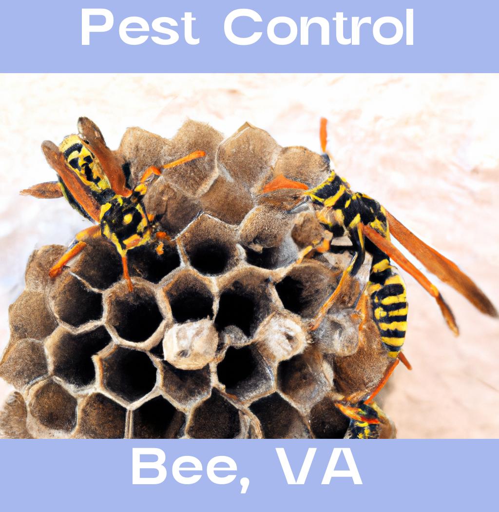 pest control in Bee Virginia
