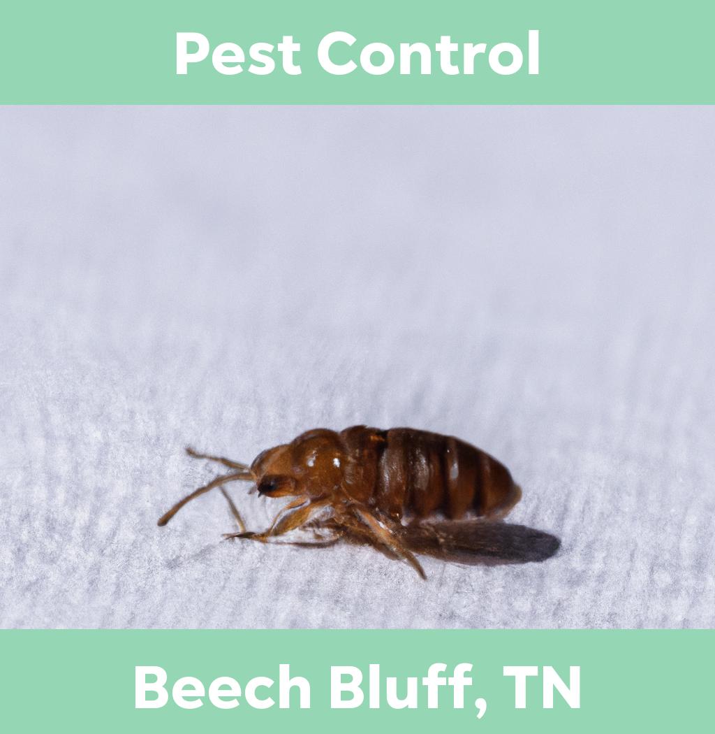 pest control in Beech Bluff Tennessee