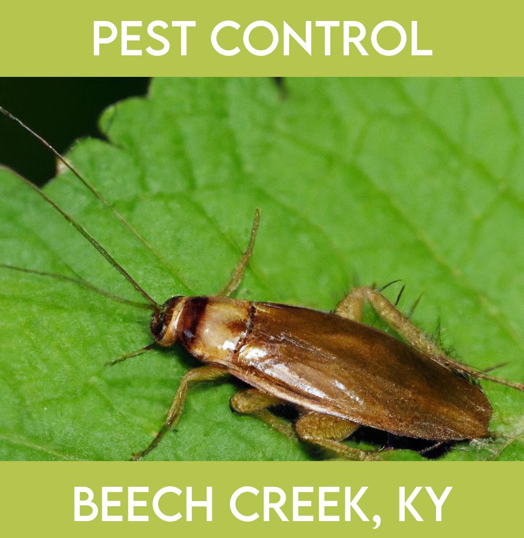 pest control in Beech Creek Kentucky