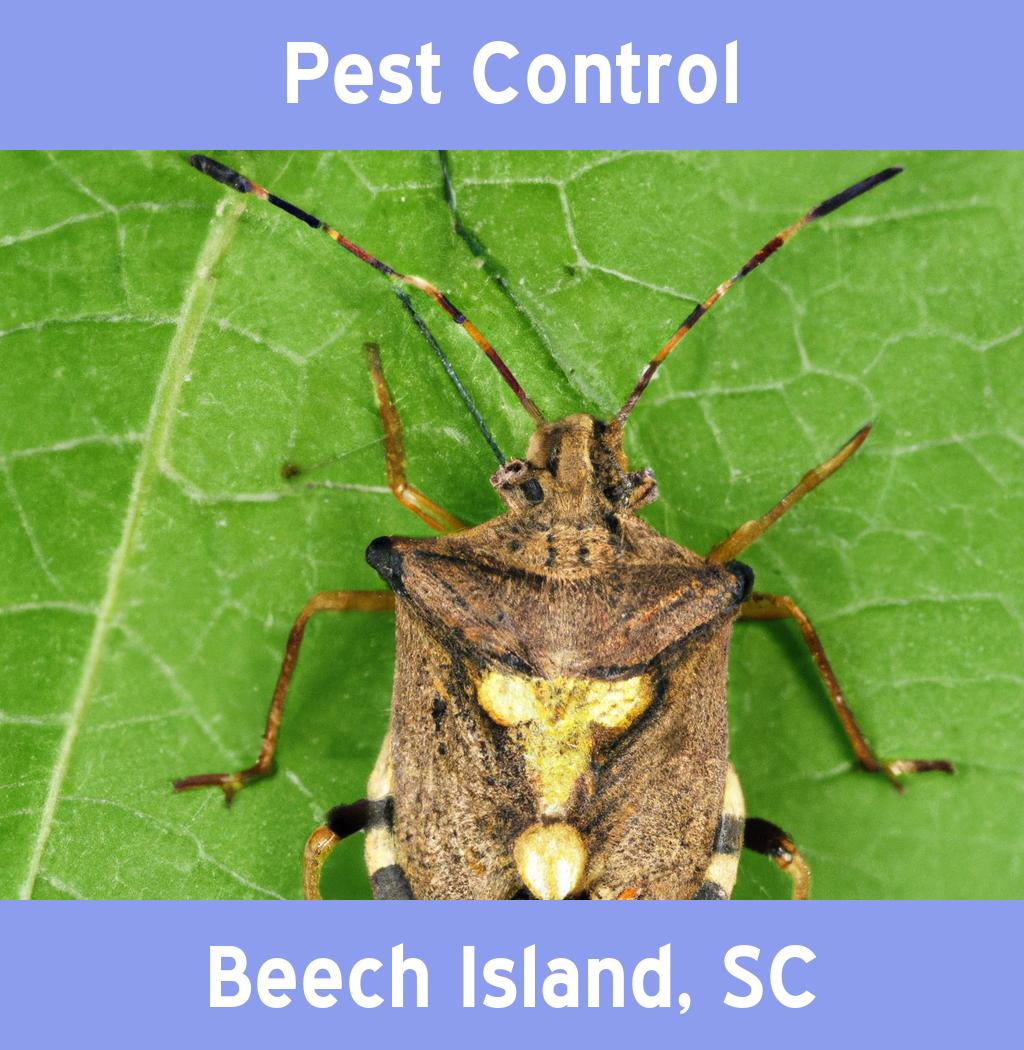 pest control in Beech Island South Carolina