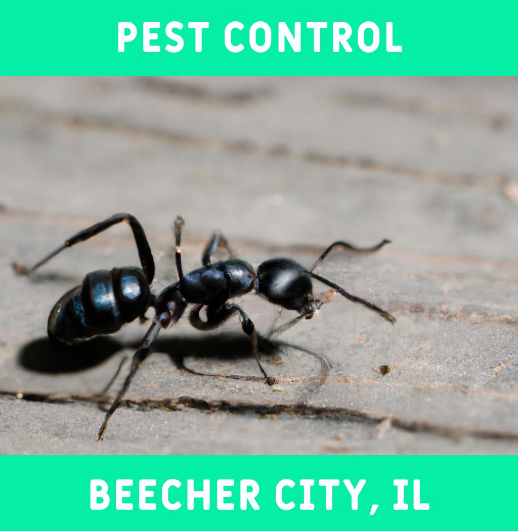 pest control in Beecher City Illinois